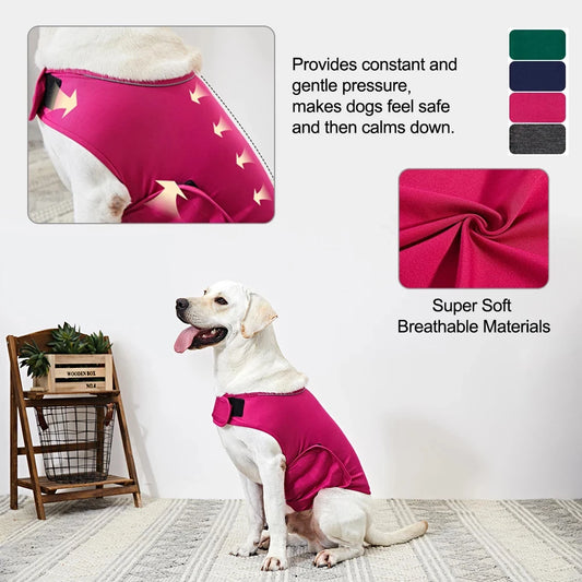 Gilet Anti-Stress Premium pour Chien – Apaisement Naturel & Confort Maximal