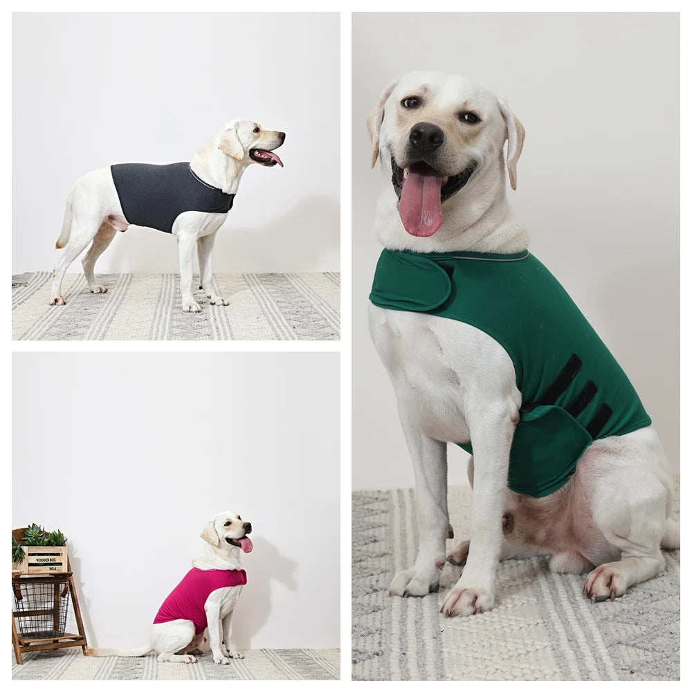 Gilet Anti-Stress Premium pour Chien – Apaisement Naturel & Confort Maximal