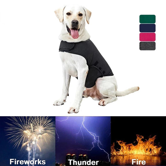 Gilet Anti-Stress Premium pour Chien – Apaisement Naturel & Confort Maximal