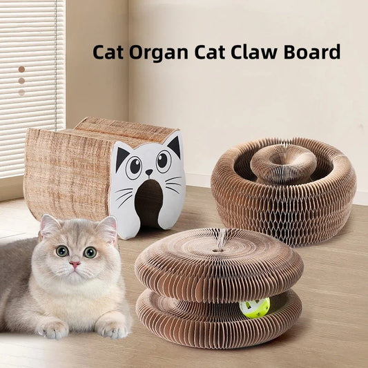 Nid Relaxant 3-en-1 pour Chat – Griffoir, Jouet Antistress & Couchage Douillet