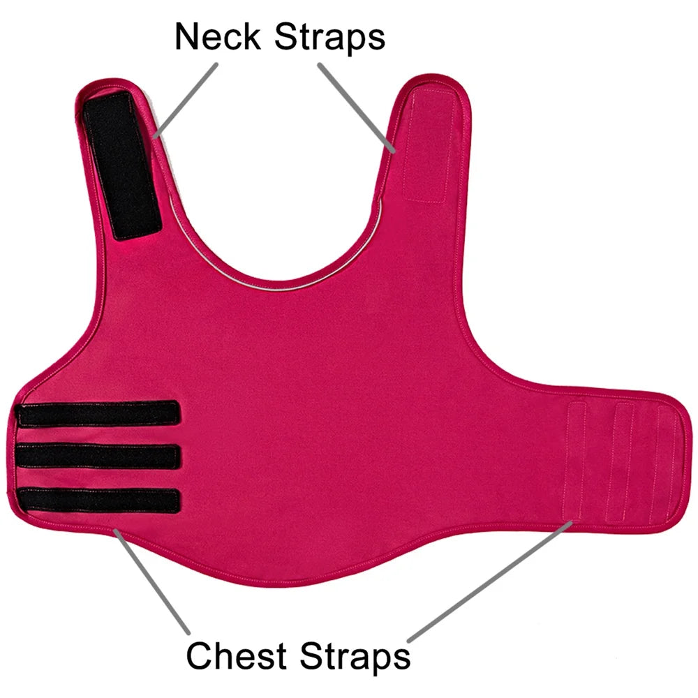 Gilet Anti-Stress Premium pour Chien – Apaisement Naturel & Confort Maximal