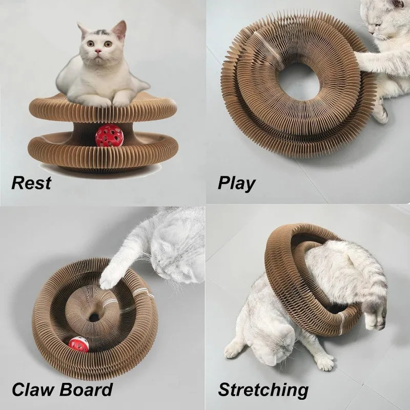 Nid Relaxant 3-en-1 pour Chat – Griffoir, Jouet Antistress & Couchage Douillet