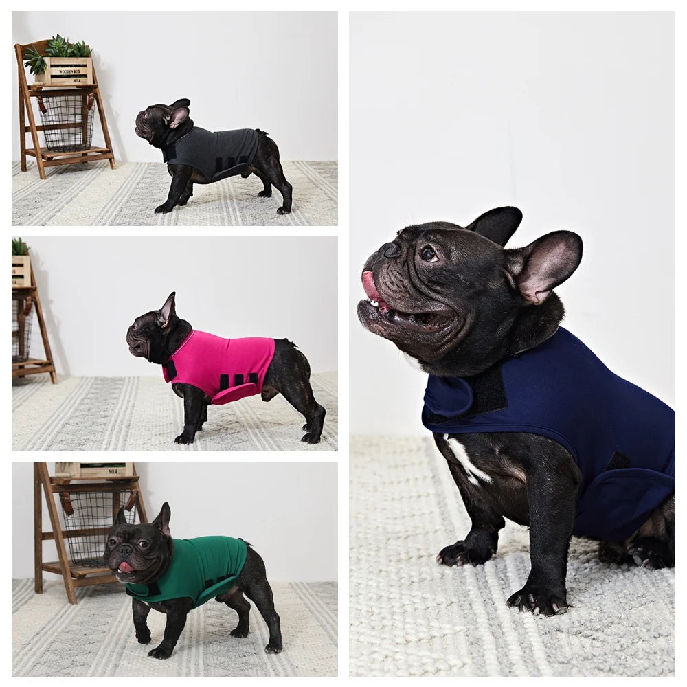 Gilet Anti-Stress Premium pour Chien – Apaisement Naturel & Confort Maximal