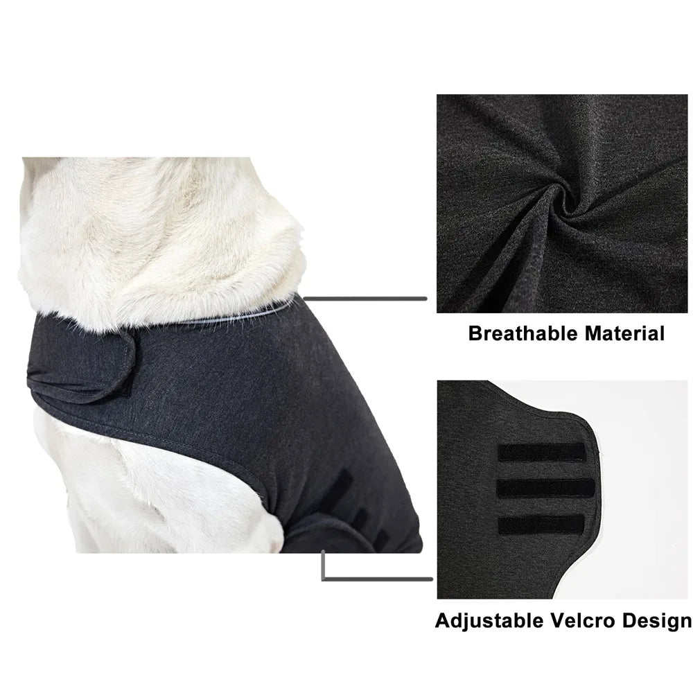 Gilet Anti-Stress Premium pour Chien – Apaisement Naturel & Confort Maximal