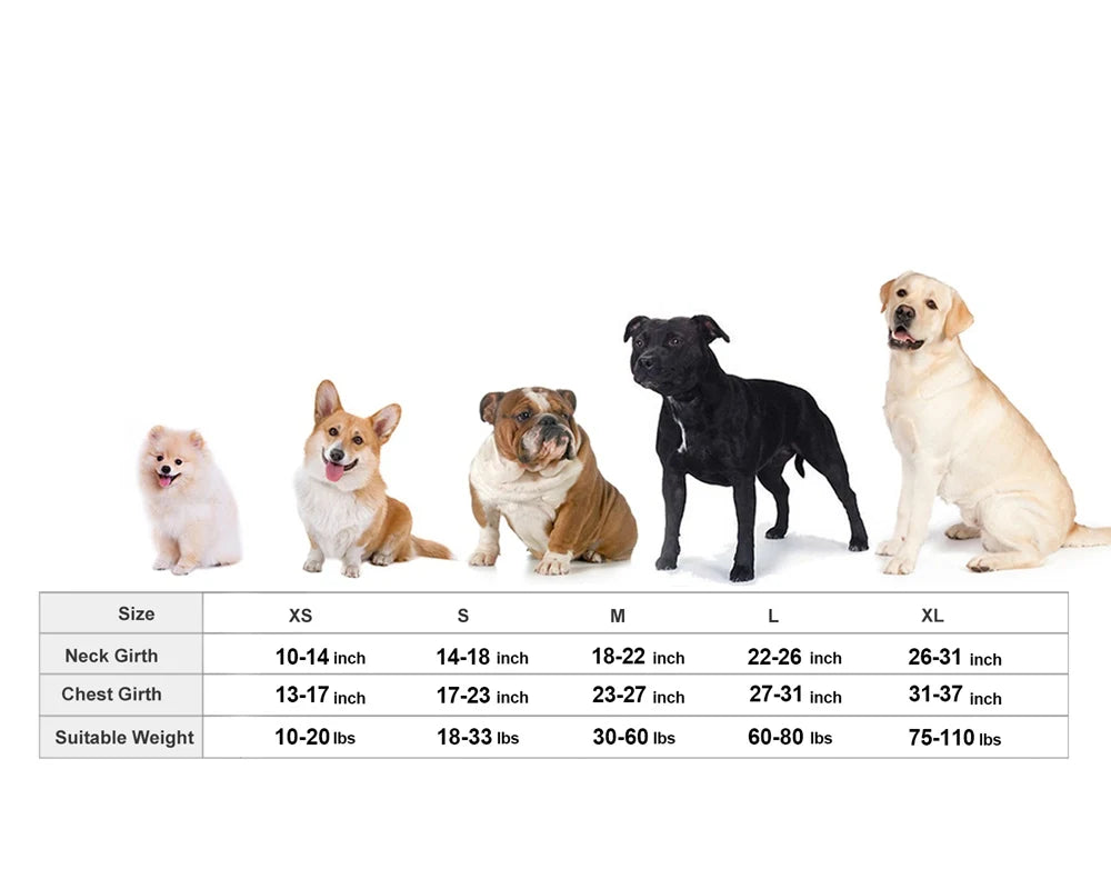 Gilet Anti-Stress Premium pour Chien – Apaisement Naturel & Confort Maximal